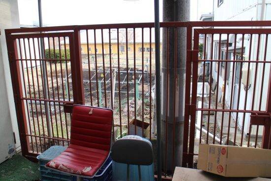 「大きな野良犬だと思ったら…」58歳男性が熊に襲われ“撃退”するまでの顛末「右目上の傷からは骨が…」12針を縫う大けが