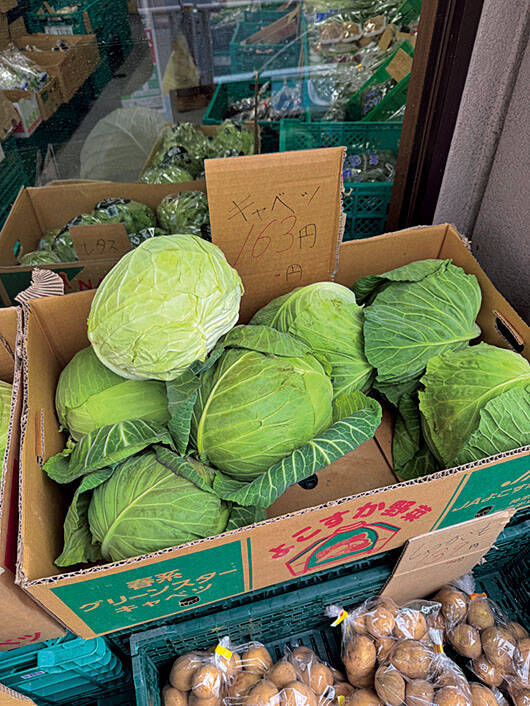 小松菜10円、大根99円…物価高なのに“異様に安い青果店”が成立する意外なワケ。B級品を買い叩くことはしない