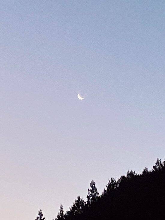 発信への義務感が気色悪い…山にスマホを持っていくのが億劫なワケ／東出昌大