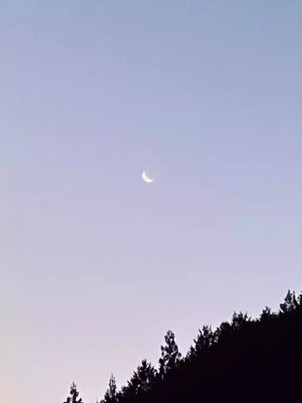 「発信への義務感が気色悪い…山にスマホを持っていくのが億劫なワケ／東出昌大」の画像