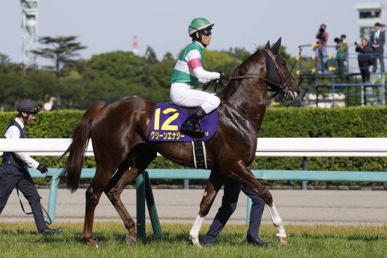 ＜日本ダービー＞ロブチェン含む“9頭”に「25戦全敗」の絶望的なジンクス…代わって浮上した穴馬2頭とは