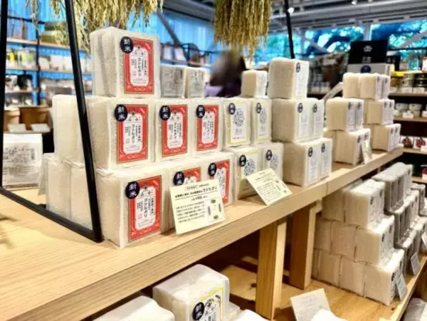 「「お米」を台無しにする“間違った研ぎ方”とは。プロ直伝の「炊飯術」と回避すべきNG行為」の画像