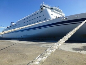 “悪天候の長距離フェリー”で船内は地獄絵図に。「隣の個室から“酸っぱい臭い”がしてきて…」――仰天ニュース特報