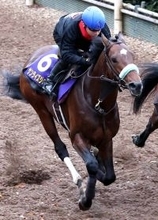 【チャンピオンズＣ】サンライズジパングはボール遊びでリラックス　前川調教師「いつまでも遊んでいます」