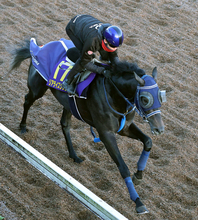 【朝日杯ＦＳ】圧勝続きリアライズシリウスは８枠１３番　手塚久調教師「外枠で良かった」