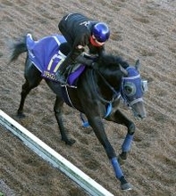 【朝日杯ＦＳ】圧勝続きリアライズシリウスは８枠１３番　手塚久調教師「外枠で良かった」