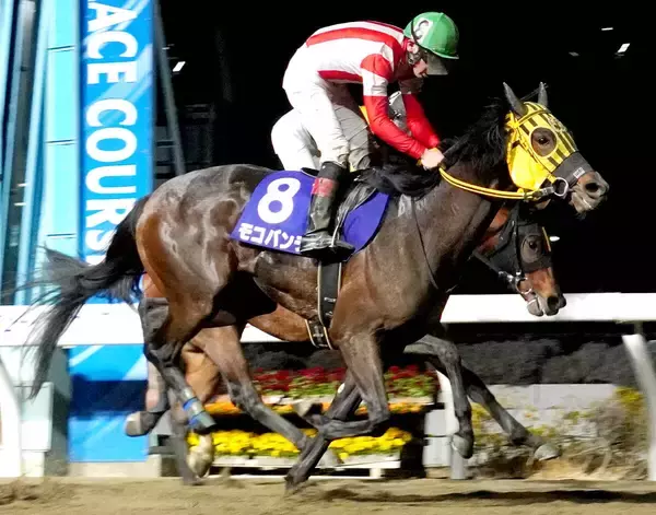 「モコパンチ炸裂」「ネコパンチ２号かよ汗」単勝１０９倍１０番人気馬の激走にネット沸く　浦和１１Ｒ ・ニューイヤーＣ