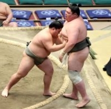 矢後が３場所連続の負け越し「もう少しできるんじゃないかと思います」