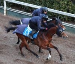 【阪神大賞典】ファミリータイムは初３０００メートル魅力大　連覇狙う石坂調教師「ウィークポイントがなくなった」