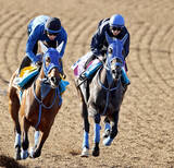 「【フローラＳ】レーン騎手がラフターラインズと初コンタクト「末脚の良さが特徴だと思う」４戦全てで上がり最速」の画像1