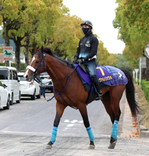 【注目馬動向】昨年の２歳マイル王者　カヴァレリッツォはＮＨＫマイルＣへ　皐月賞は１３着