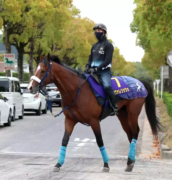 【注目馬動向】昨年の２歳マイル王者　カヴァレリッツォはＮＨＫマイルＣへ　皐月賞は１３着
