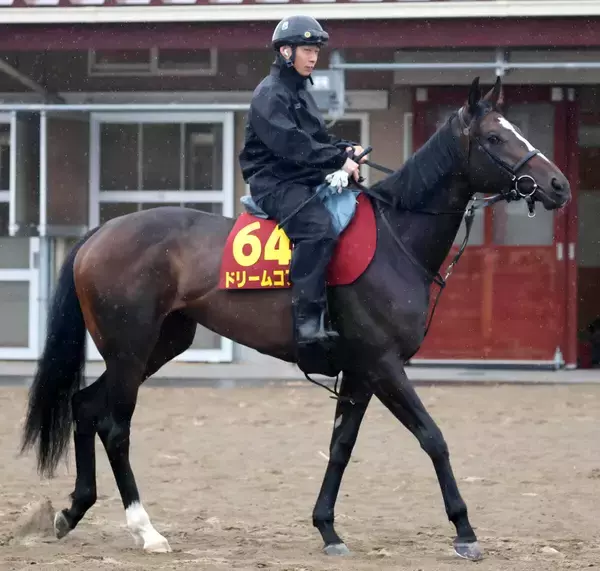 【Ｇ１トク捜リレー】桜花賞で崩れた良血馬　イシゴー記者は無敗の東京で逆転があると注目　オークス