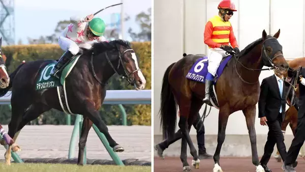 阪神競馬場で“大物”誘導馬２頭が今週末デビュー！引退わずか２か月のマテンロウオリオンと、昨年１２月引退のハギノアレグリアス