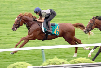 【札幌５Ｒ・２歳新馬】怪物候補のフライトライン産駒サトノフルークが２着　「イメージと違う競馬に」佐々木大輔騎手悔やむ