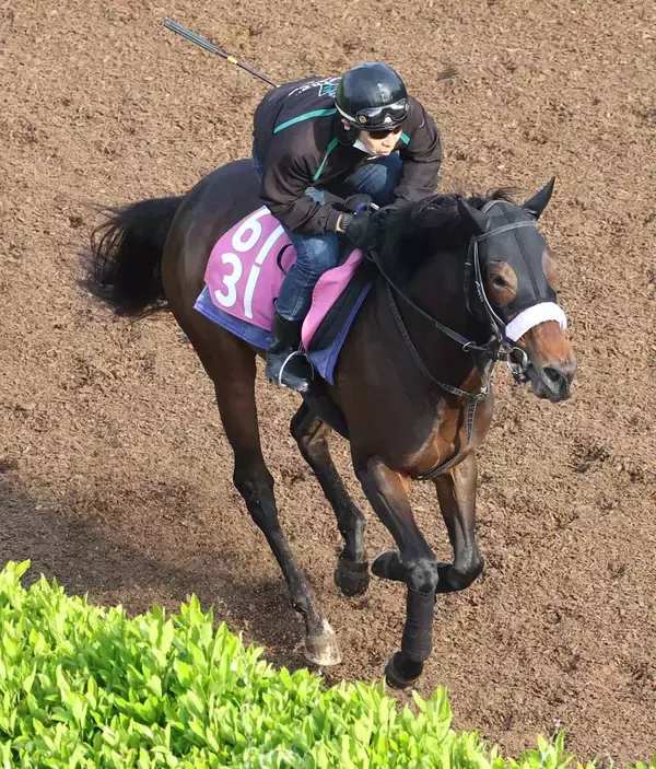 【２６日の注目・阪神６Ｒ】「最強の１勝馬」エタリオウの産駒ララオウが父が届かなかった２勝目を目指す　