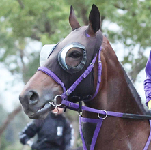 【アイルランドＴ】ルメール騎手騎乗の良血馬は惜しい２着　エフフォーリアの全妹ジョスランは重賞２勝目逃す