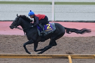 【菊花賞】「酔いしれたじゃないけど、気持ちよかったです」アスクエジンバラは岩田康誠騎手が絶好の感触にうなる