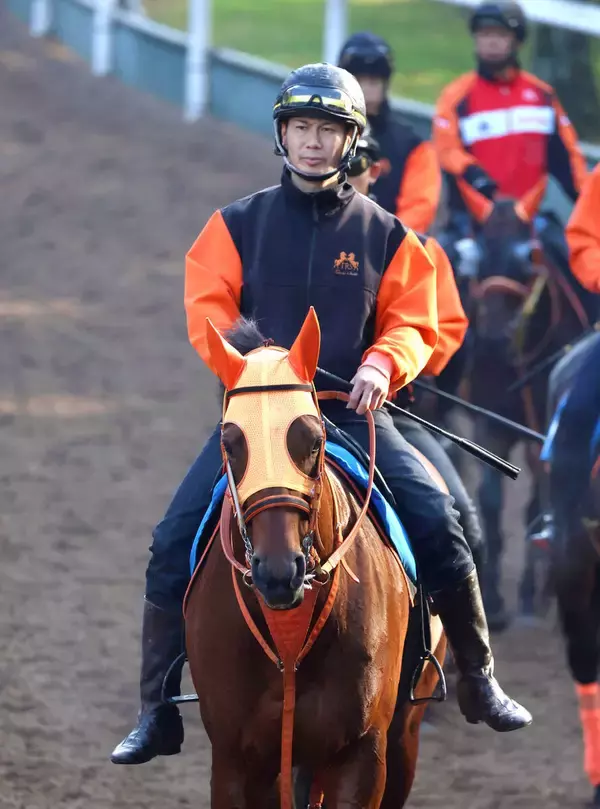 【鳴尾記念】良血オールナットがいよいよ才能開花　高野調教師「Ｇ３で満足したくない素材」