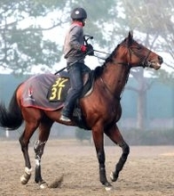 【注目馬動向】京都２歳Ｓ３着のゴーイントゥスカイはきさらぎ賞へ