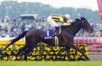 ダンスインザムードが天国へ　０４年桜花賞、０６年の第１回ヴィクトリアマイルでＶ「天寿を全うしたと思います」