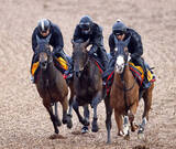 「【報知杯弥生賞・イシゴーが見た】ギア１段アップ！ここあっさりならパントルナイーフはクラシック戦線の主役以上になれる」の画像1