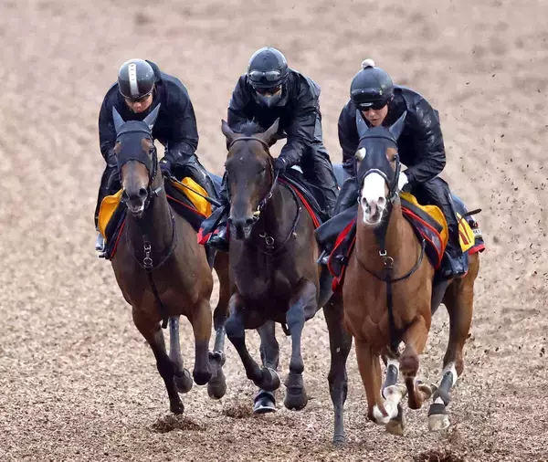 【報知杯弥生賞・イシゴーが見た】ギア１段アップ！ここあっさりならパントルナイーフはクラシック戦線の主役以上になれる