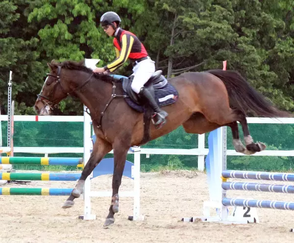 高杉吏麒騎手が障害馬術競技で２位「参加することができてよかったです」減点なく巧みな飛越、走行を披露