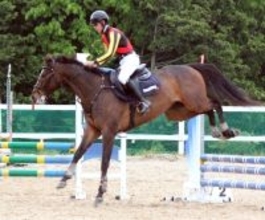 高杉吏麒騎手が障害馬術競技で２位「参加することができてよかったです」減点なく巧みな飛越、走行を披露