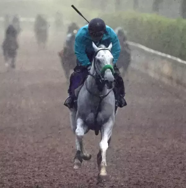 【安田記念】雨にも負けず風にも負けないガイアフォース　２週連続Ｇ１勝利目指す杉山晴調教師「あとは１着だけですね」