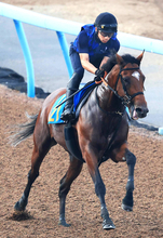 【関屋記念】混戦必至！前日最終オッズの単勝１番人気はダノンセンチュリーで４・１倍も３連単は人気が割れ模様