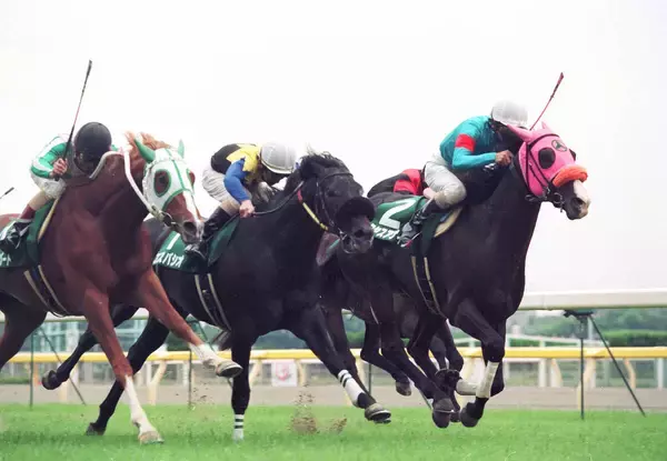 タヤスアゲインが３１歳で死す…スペシャルウィークの同期　９８年の青葉賞勝ち馬