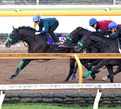 【天皇賞・秋・１週前】重賞３勝馬エルトンバローズが好気配　松若風馬騎手「１週前の状態としては順調ですね」