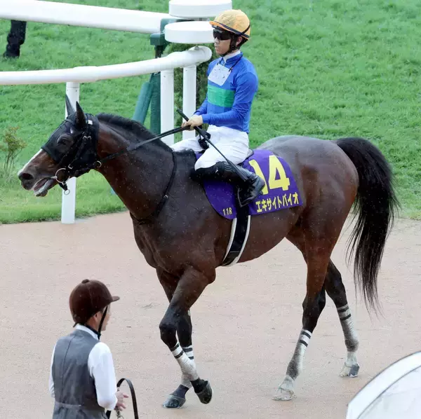 【注目馬動向・古馬】ＪＢＣクラシック９着のシャマルは、かきつばた記念から黒船賞へ