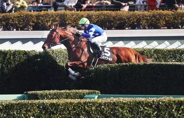 【中山８Ｒ・中山新春ジャンプＳ】コンテナワールドが逃げ切ってオープン初Ｖ　井上敏樹騎手「理想の形になった」