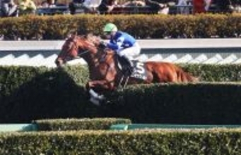 【中山８Ｒ・中山新春ジャンプＳ】コンテナワールドが逃げ切ってオープン初Ｖ　井上敏樹騎手「理想の形になった」