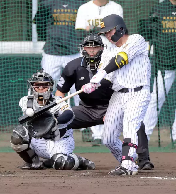 【阪神】現役ドラフトでヤクルトから加入の浜田太貴、シート打撃で椎葉剛から“虎初安打”の三塁打