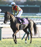 「【注目馬動向】クロワデュノールは大阪杯出走へ　ドバイ・シーマクラシックの招待は辞退」の画像1