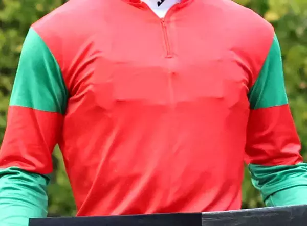 「大ニュースだわ...」「夢にも思わんかった」老舗クラブ発表に悲しみの声続出　ラフィアンターフマンクラブ今夏で募集終了