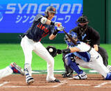 「侍・源田壮亮がチャレンジ成功チーム第１号、死球で満塁→大谷翔平グランドスラム演出」の画像1