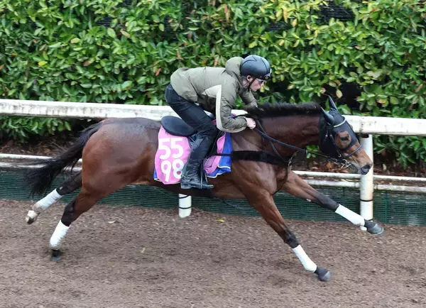 【ファルコンＳ・理貴の特注馬】自在性、安定感光るプリンセスモコ　陣営「このくらいの距離が一番力を出せる」