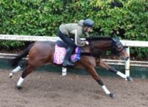 【ファルコンＳ・理貴の特注馬】自在性、安定感光るプリンセスモコ　陣営「このくらいの距離が一番力を出せる」