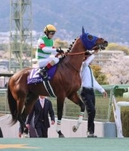 【大阪杯】「坂の上から苦しくなりました」ルメール騎手　４角で手応え抜群のレーベンスティールは６着