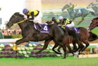 マンハッタンカフェ産駒が中央から消えた…　最後のＪＲＡ所属馬ダンディズムが現役引退　天皇賞・春で父子制覇ヒルノダムールなど送り出す