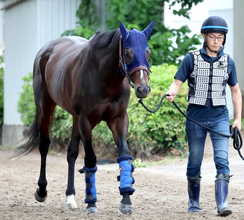 【安田記念・金曜気配】武豊騎手と復活目指すシックスペンスは２枠４番　田中博調教師「ハナを含めて…」と先行意識