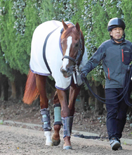 【注目馬動向】Ｇ１馬がまた新潟記念へ　２４年の菊花賞馬アーバンシックが参戦を視野に　超豪華メンバーのＧ３