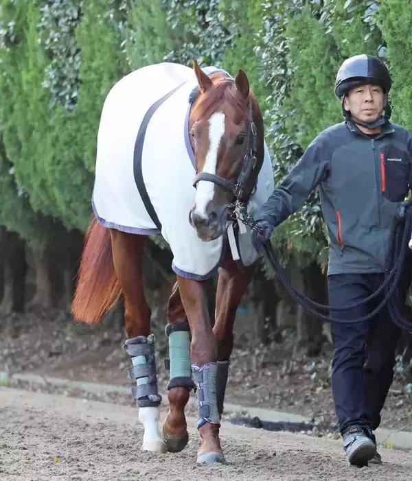 【注目馬動向】Ｇ１馬がまた新潟記念へ　２４年の菊花賞馬アーバンシックが参戦を視野に　超豪華メンバーのＧ３