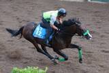 「日曜新潟競馬場の注目激走馬…新潟７Ｒ関屋記念・Ｇ３」の画像1