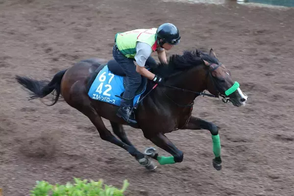 日曜新潟競馬場の注目激走馬…新潟７Ｒ関屋記念・Ｇ３