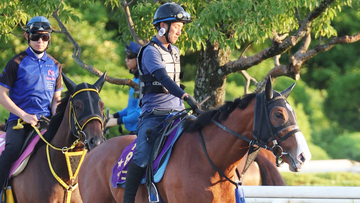 【注目馬動向】ママコチャは武豊騎手とコンビ継続でスプリンターズＳへ...栗東所属馬の次走報まとめ